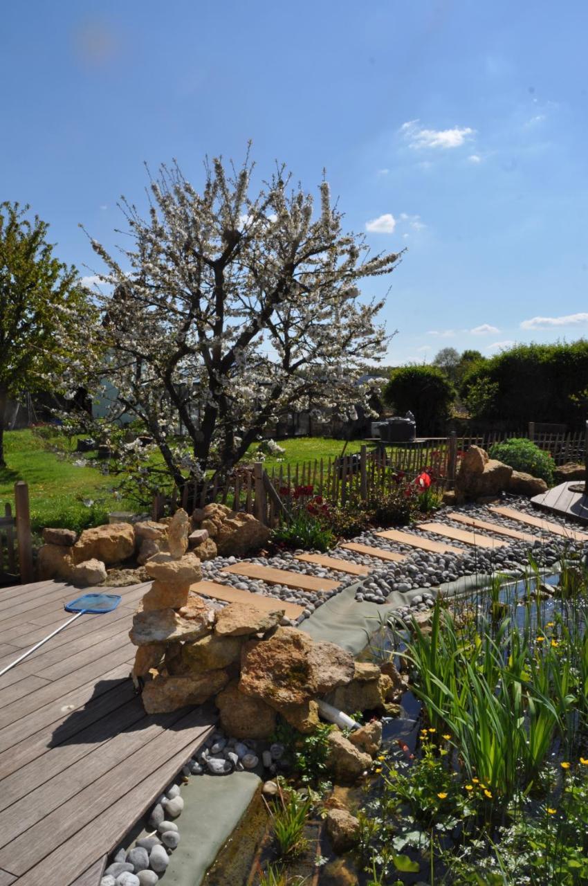 Maison D'Hotes Les Rainettes Breuillet  外观 照片