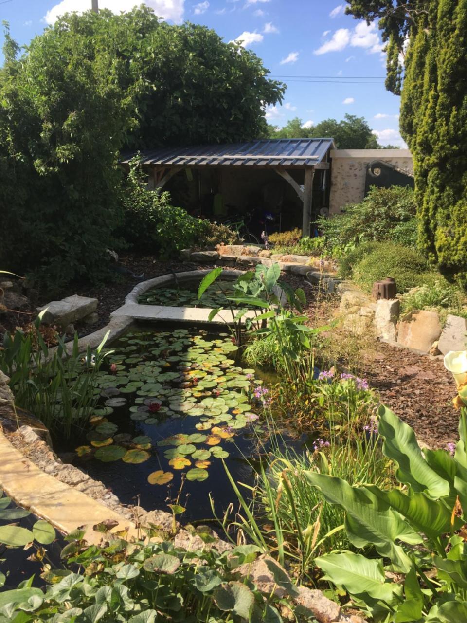 Maison D'Hotes Les Rainettes Breuillet  外观 照片